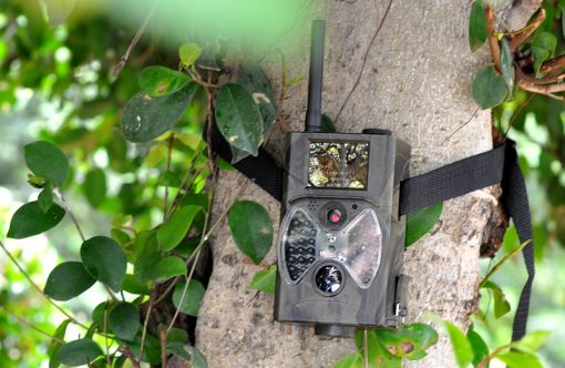 Game Hunting Camera "Wildview" - 1080p HD, PIR Motion Detection, Night Vision, MMS Viewing, 2 Inch Screen